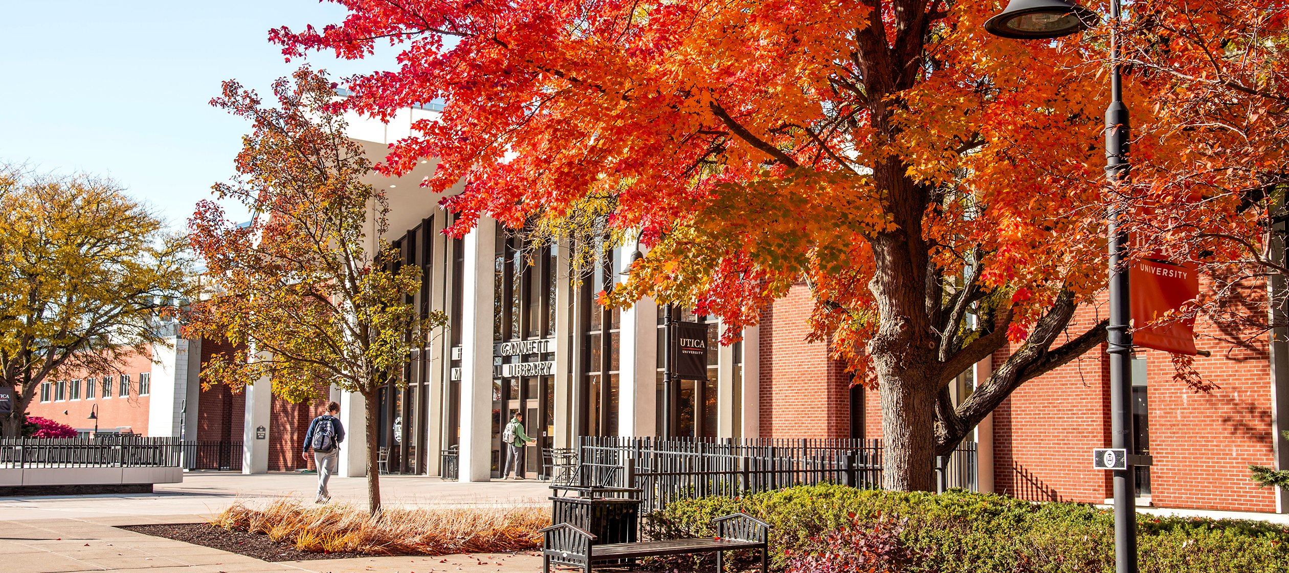 Gannett Library