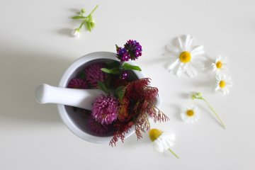 Mortar and Pestle with medicinal flowers.