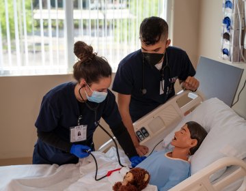 Health Professions at Utica University