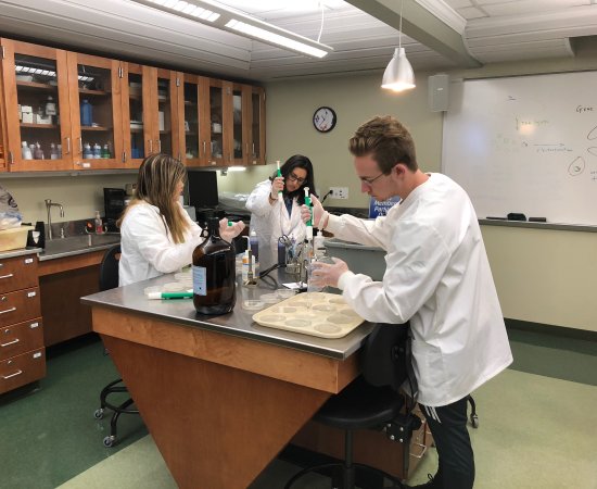 Jennifer Liu - Sarah Mirza and Evan Vescio work on UC bacteria
