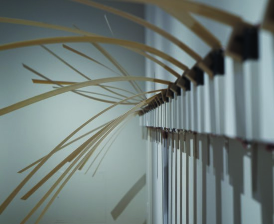 Aqualitative Side Gallery Exhibit 2019