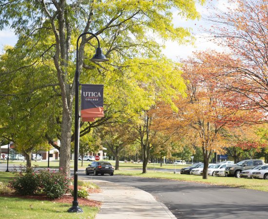 Campus Scenic Fall - Parking Lot Cars
