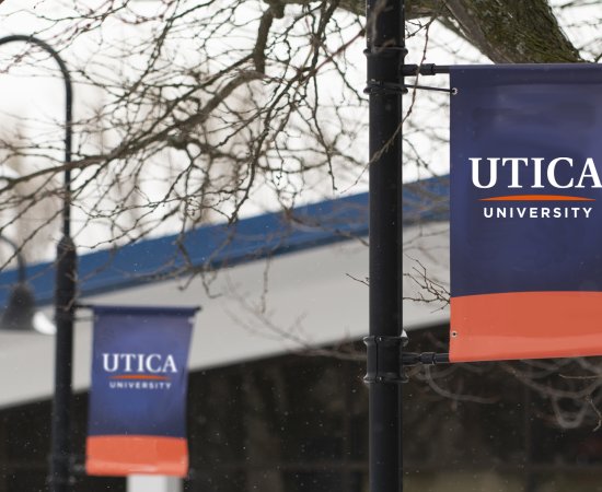 Utica University