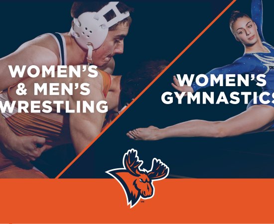 A split image of young men wrestling on the left and a young woman performing gymnastics in the air on the right.