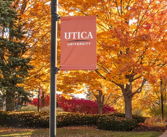 Utica University