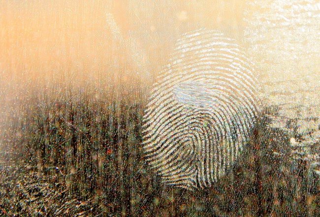 Fingerprint Crime Investigation Justice generic