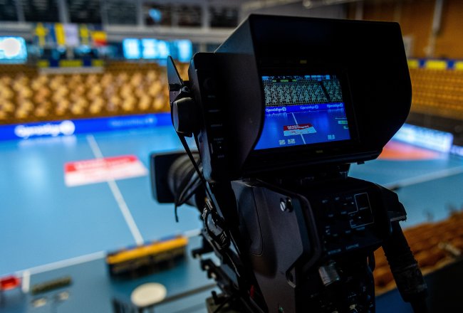 A TV camera viewfinder looking at a sports arena.