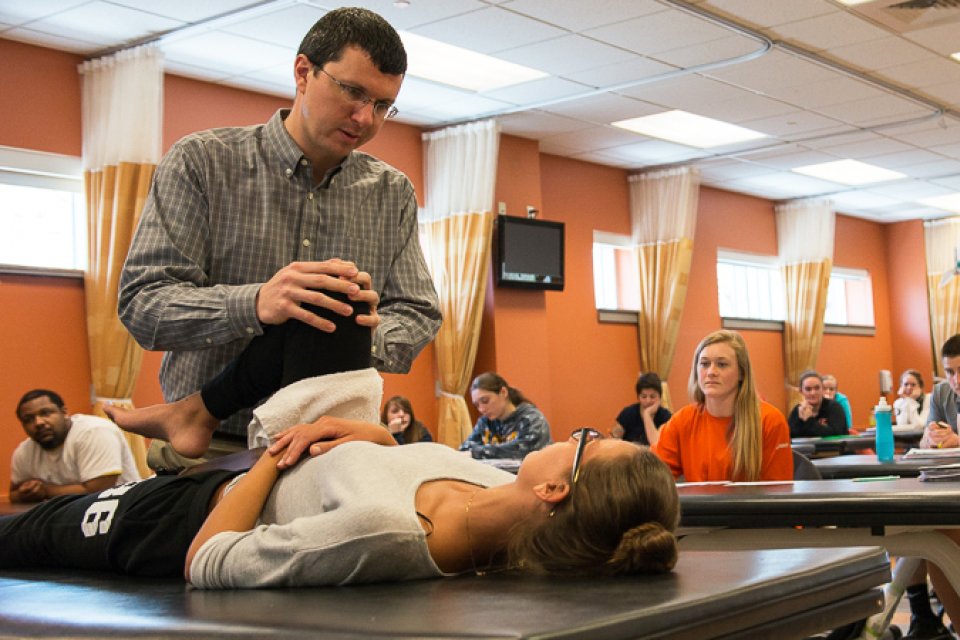 Physical Therapy Header