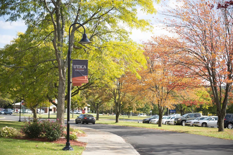 Campus Scenic Fall - Parking Lot Cars