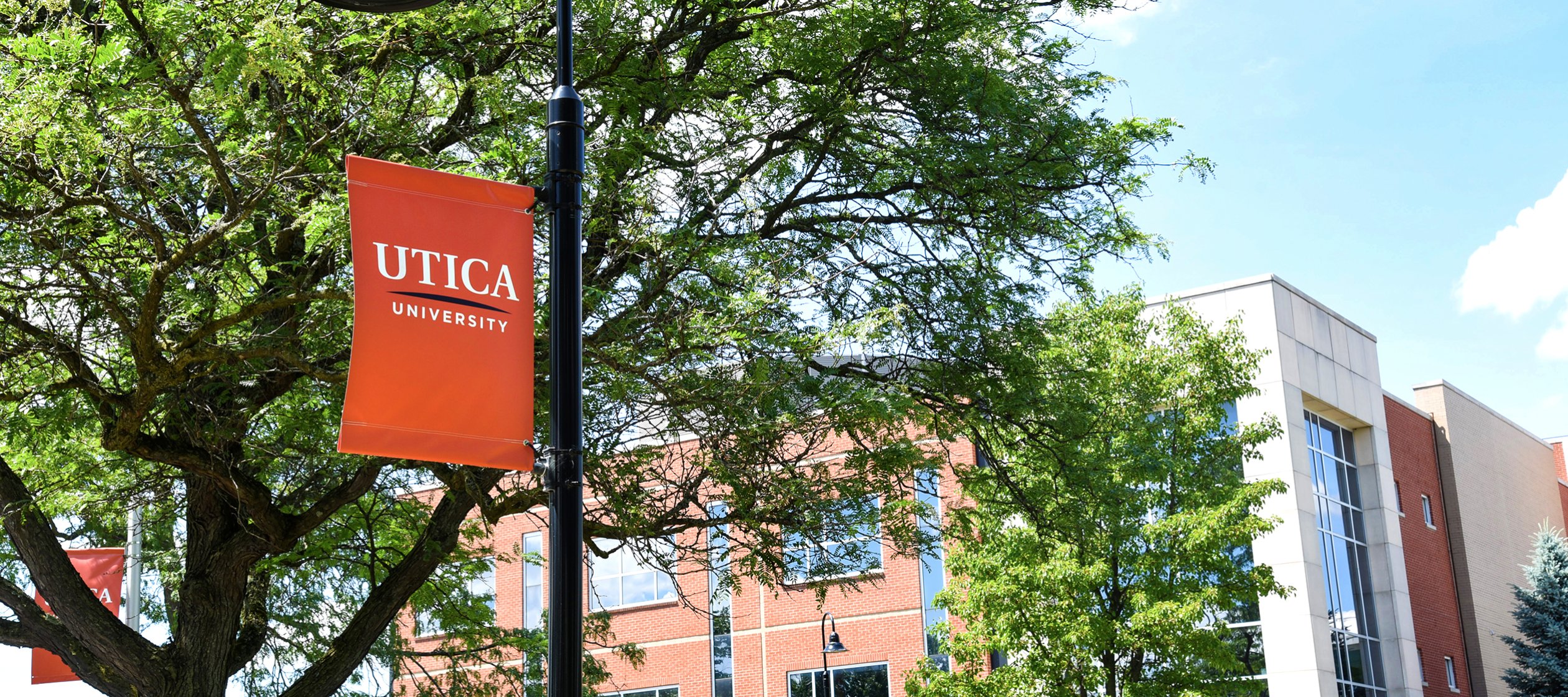 Utica University Timeline